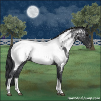 Horse Color:Blue Roan Tobiano Near Fewspot 
