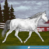 Horse Color:Blue Roan Splash Tobiano Snowflake Varnish 