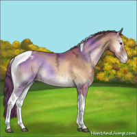 Horse Color:Red Onyx Ice Tobiano Appaloosa 