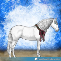 Horse Color:Gray Silver Perlino Appaloosa 