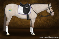 Horse Color:Classic Champagne Roan Dun Rabicano 