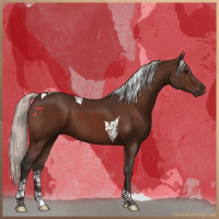 Horse Color:Silver Bay Tobiano