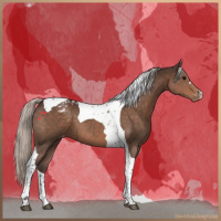 Horse Color:Silver Brown Tobiano Varnish 