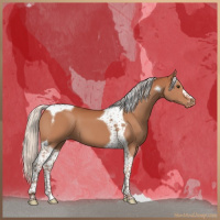 Horse Color:Silver Bay Tobiano Appaloosa 