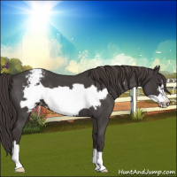 Horse Color:Smoky Blue Roan Frame Appaloosa 