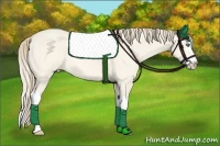 Horse Color:Perlino Roan Dun Splash 