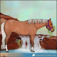 Horse Color:Silver Bay Roan Tobiano 