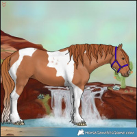 Horse Color:Chestnut Tobiano 