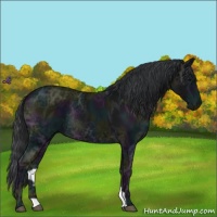 Horse Color:Midnight Black Ice Rabicano 