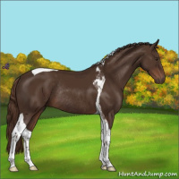 Horse Color:Liver Chestnut Tobiano Rabicano 