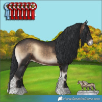 Horse Color:Brown Onyx