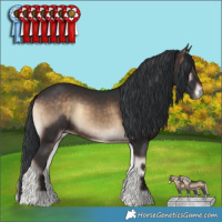 Horse Color:Brown Onyx 