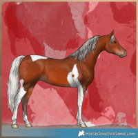 Horse Color:Silver Bay Tobiano