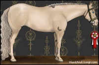 Horse Color:Chocolate Palomino Pearl