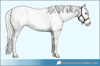 Horse Color:Silver Black Sabino