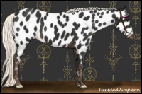Horse Color:Liver Chestnut Mushroom Near Leopard 