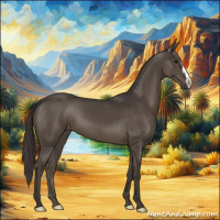 Horse Color:Smoky Black 