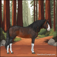 Horse Color:Brown Splash
