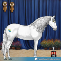 Horse Color:Gray Chocolate Palomino Roan 