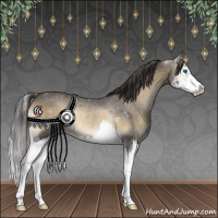 Horse Color:Smoky Blue Onyx Splash Rabicano 