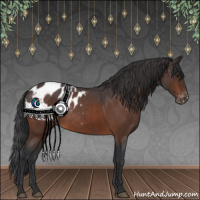 Horse Color:Brown Roan Blanket Rabicano 