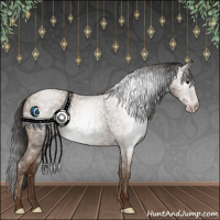 Horse Color:Gray Classic Champagne Ice Roan 