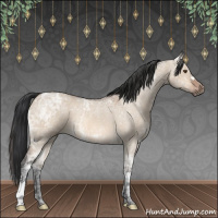 Horse Color:Bay Ice Roan Dun 