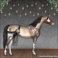 Horse Color:White Spotted Bay Roan Onyx Rabicano 