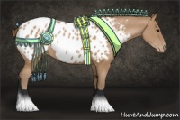 Horse Color:Black Pearl Appaloosa 