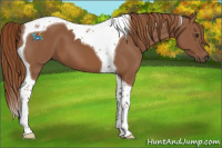Horse Color:Chestnut Tobiano 