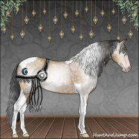 Horse Color:Gray Amber Champagne Tobiano 