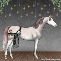 Horse Color:Perlino Dun Sabino Splash 