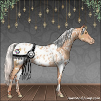 Horse Color:White Spotted Silver Sable Champagne Appaloosa 