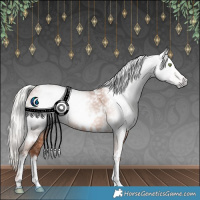 Horse Color:Gray White Spotted Silver Amber Champagne