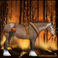 Horse Color:Gray Black Pearl Appaloosa