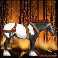 Horse Color:Gray Black Appaloosa