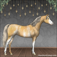 Horse Color:White Spotted Gold Cream Champagne 