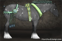 Horse Color:White Spotted Blue Roan 