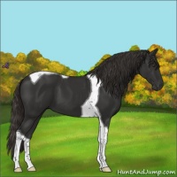 Horse Color:Liver Chestnut Tobiano 