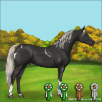 Horse Color:Liver Chestnut Mushroom Tobiano