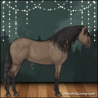 Horse Color:Liver Red Dun Rabicano 