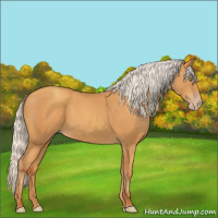 Horse Color:Silver Sable Cream Champagne 
