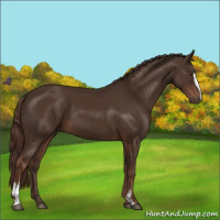 Horse Color:Liver Chestnut Sabino
