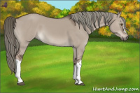 Horse Color:Liver Red Dun Mushroom 
