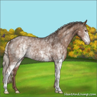 Horse Color:White Spotted Liver Chestnut Mushroom 