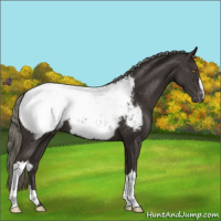 Horse Color:Liver Chestnut Mushroom Snowcap 
