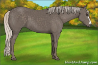 Horse Color:Silver Black 