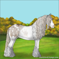 Horse Color:White Spotted Chocolate Palomino Roan Splash 