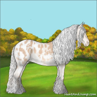 Horse Color:White Spotted Silver Perlino Appaloosa 