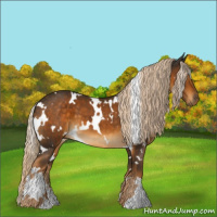 Horse Color:White Spotted Chocolate Palomino 